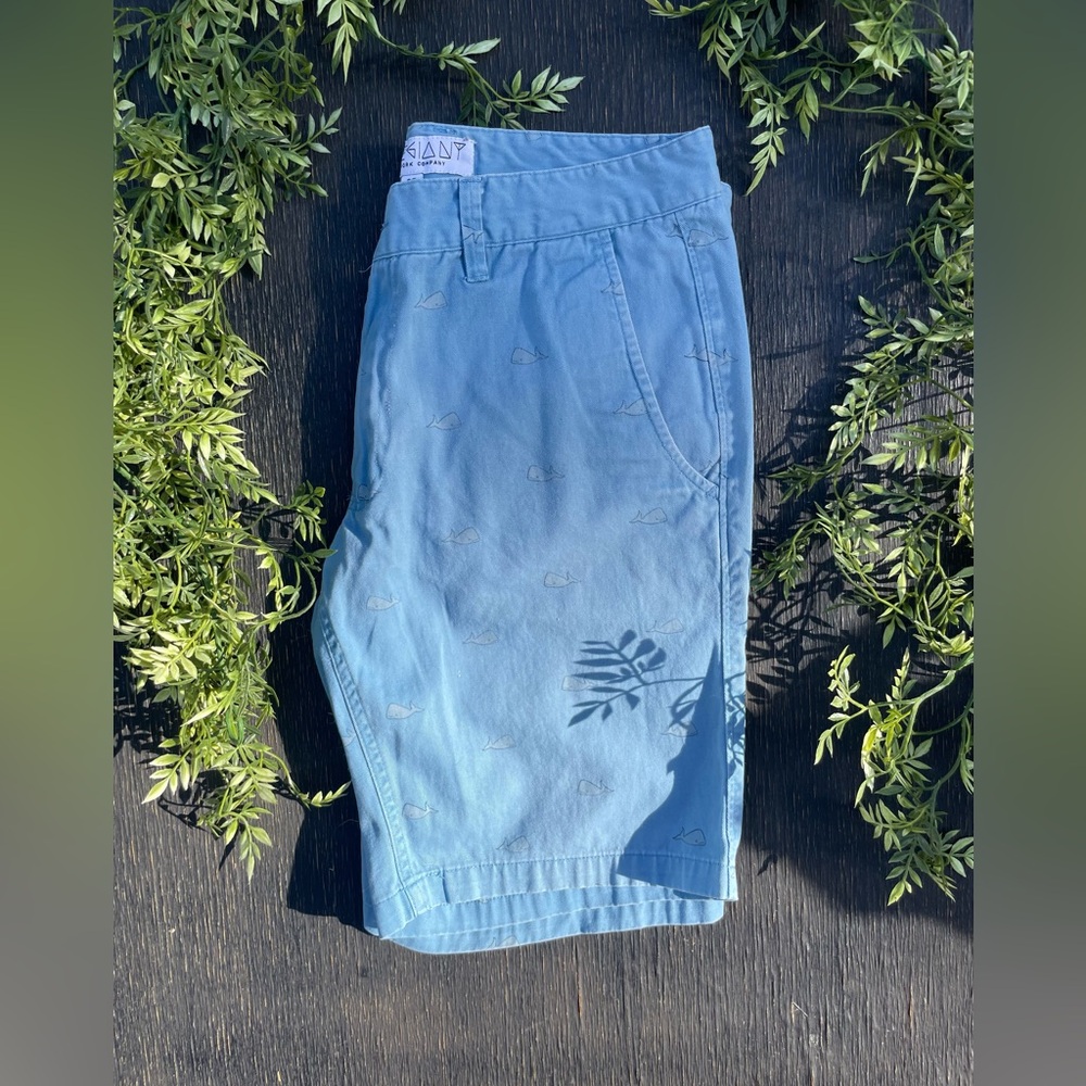 New York & Co Men’s Jorts